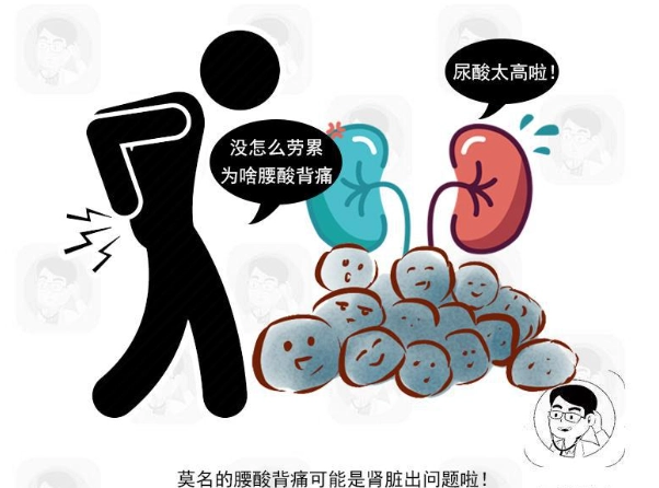 尿酸過高改善方法