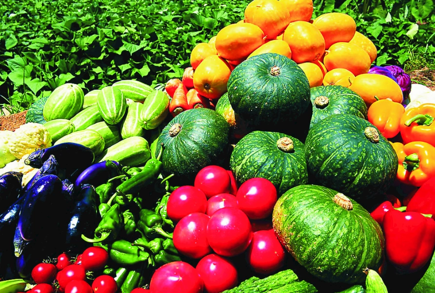 蔬菜分類 蔬菜分類