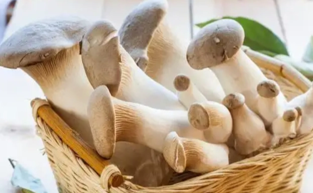 杏鮑菇處理方法