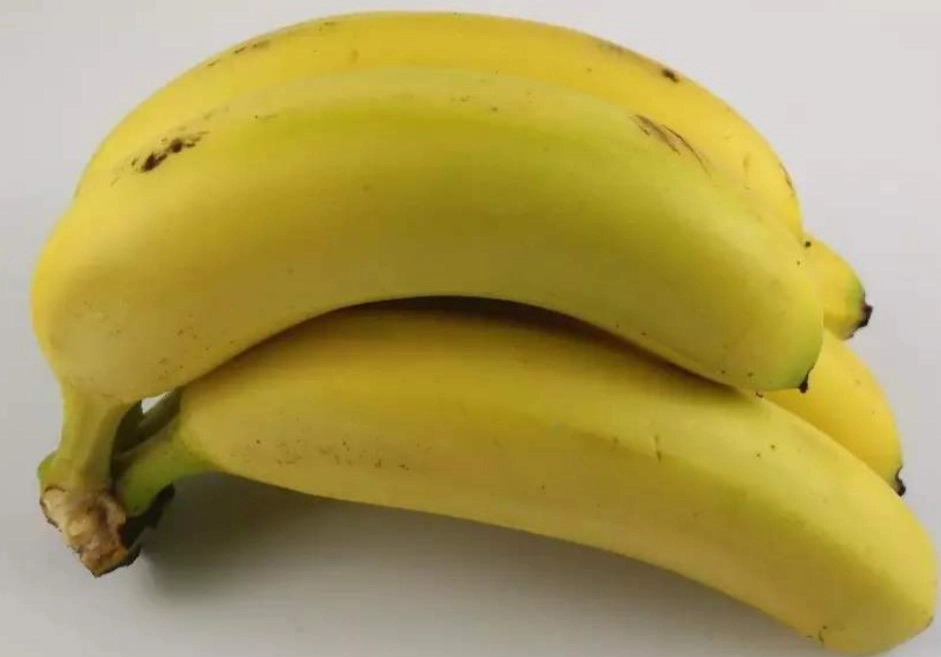 香蕉纖維含量