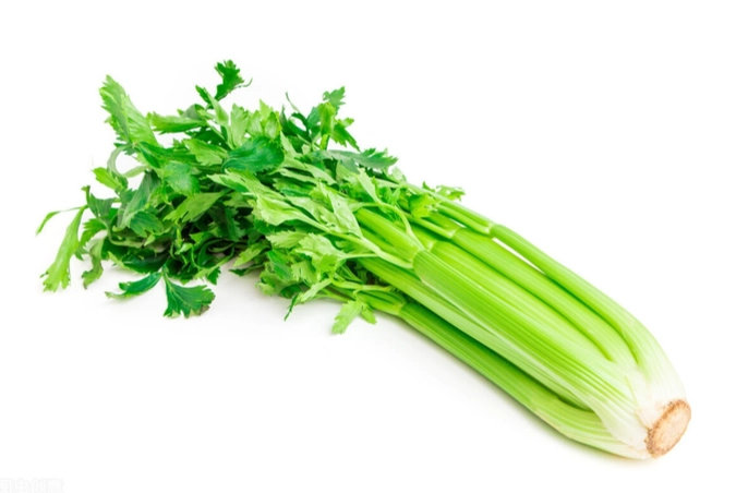 西芹禁忌