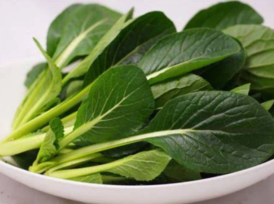 小松菜 油菜 區別