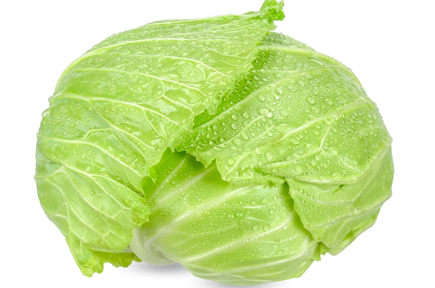 包心菜可以生食嗎