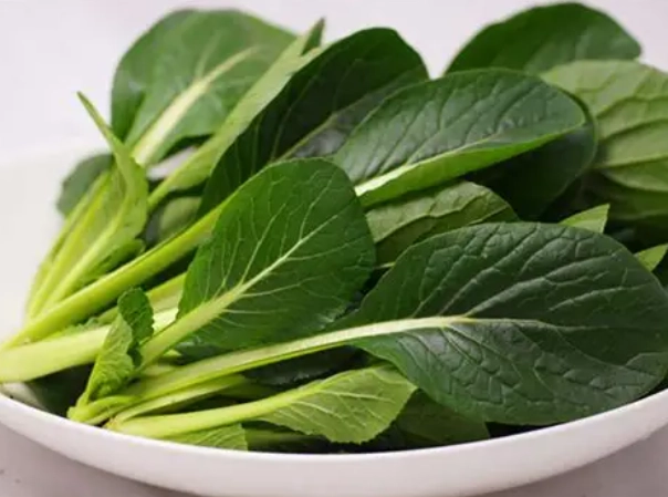 小松菜營養