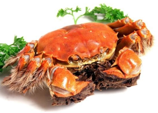 螃蟹不能和什麼一起吃