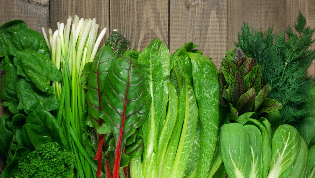 綠葉蔬菜營養