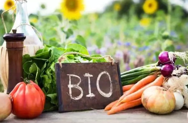 有機食品好處壞處