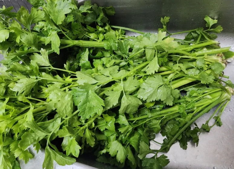 芹菜葉保存技巧