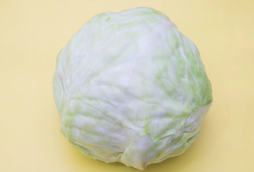 包心菜可以生食嗎