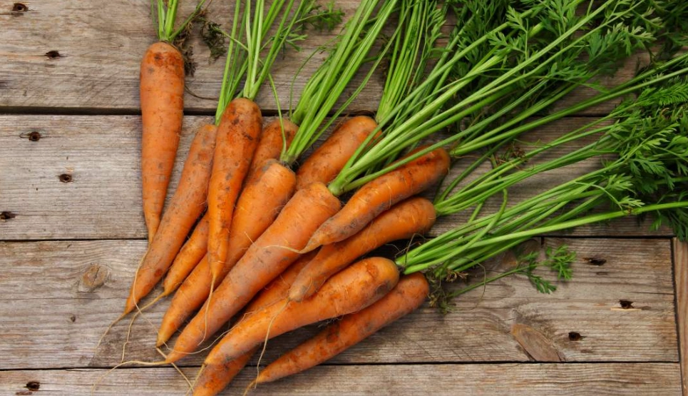 大便顏色變化 大便顏色變化