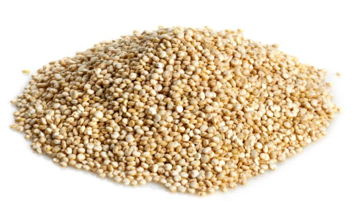 植物蛋白質來源 植物蛋白質來源