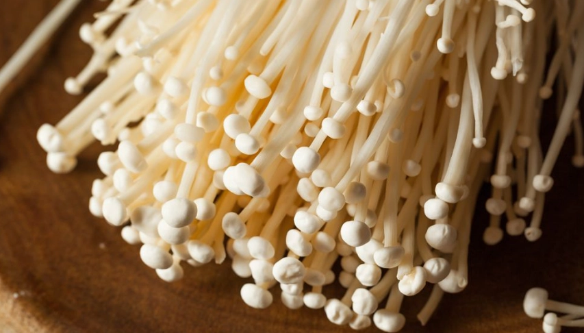 金針菇隔夜保存 金針菇隔夜保存