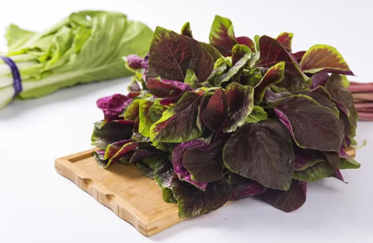 護心蔬菜飲食 護心蔬菜飲食