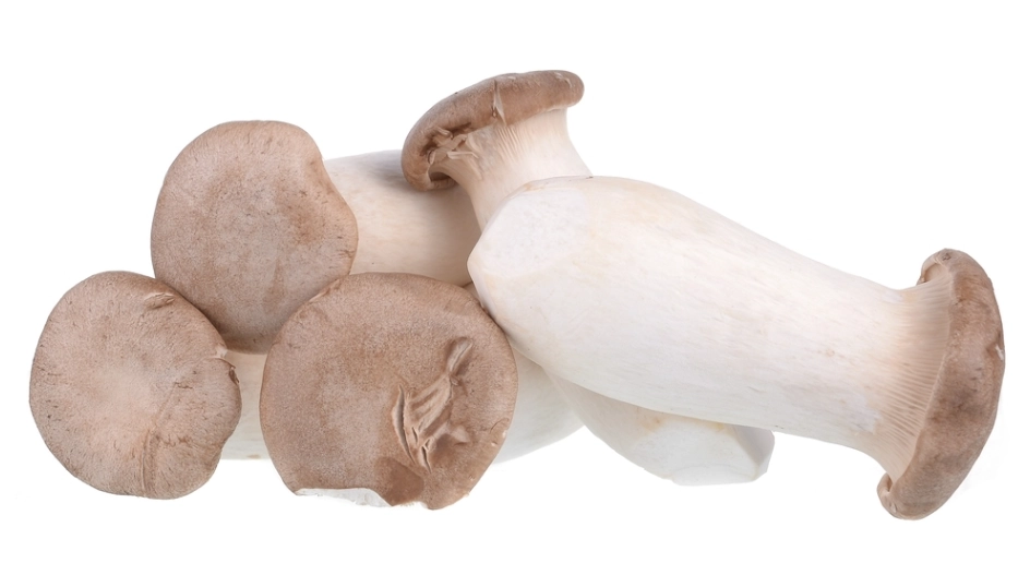 杏鮑菇 降膽固醇