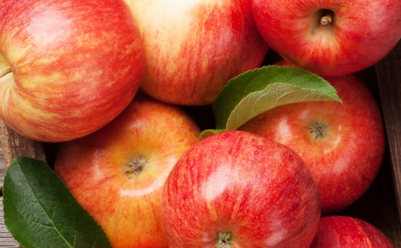 蘋果纖維粉功效