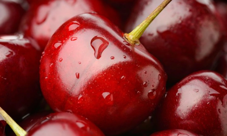 腎友可以吃櫻桃嗎 腎友可以吃櫻桃嗎