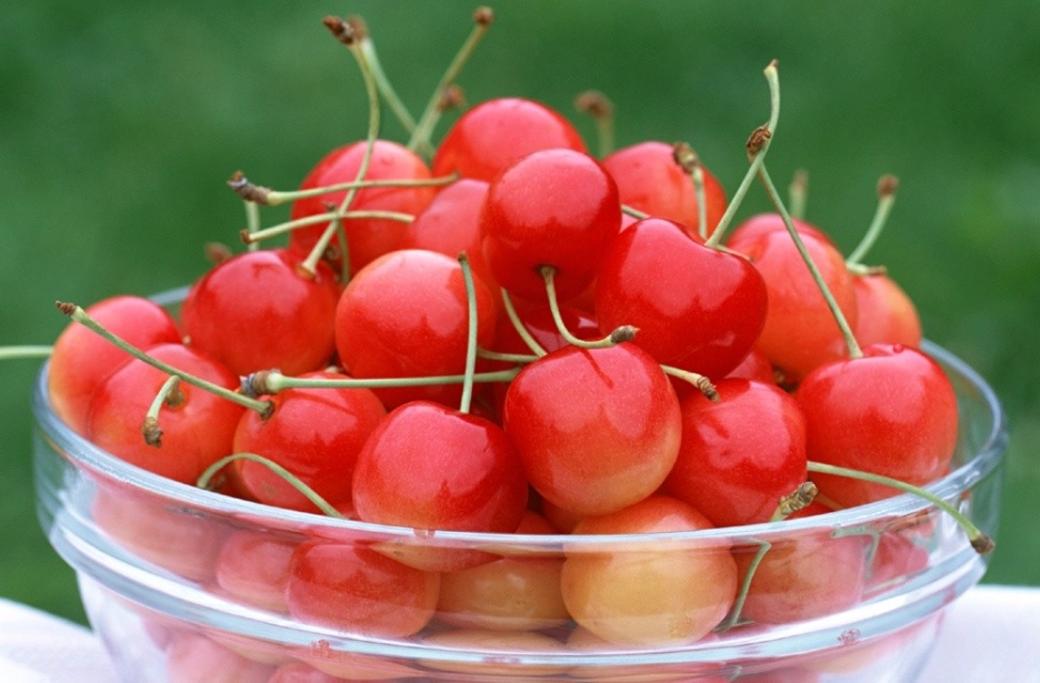 腎友可以吃櫻桃嗎 腎友可以吃櫻桃嗎