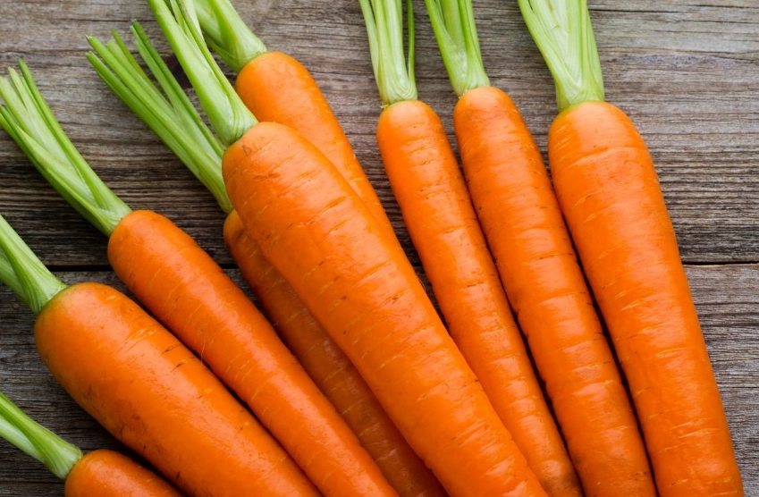 植物蛋白質來源 植物蛋白質來源