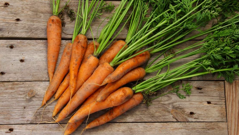 紅蘿蔔營養價值