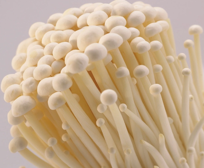 金針菇冷藏方法 金針菇冷藏方法