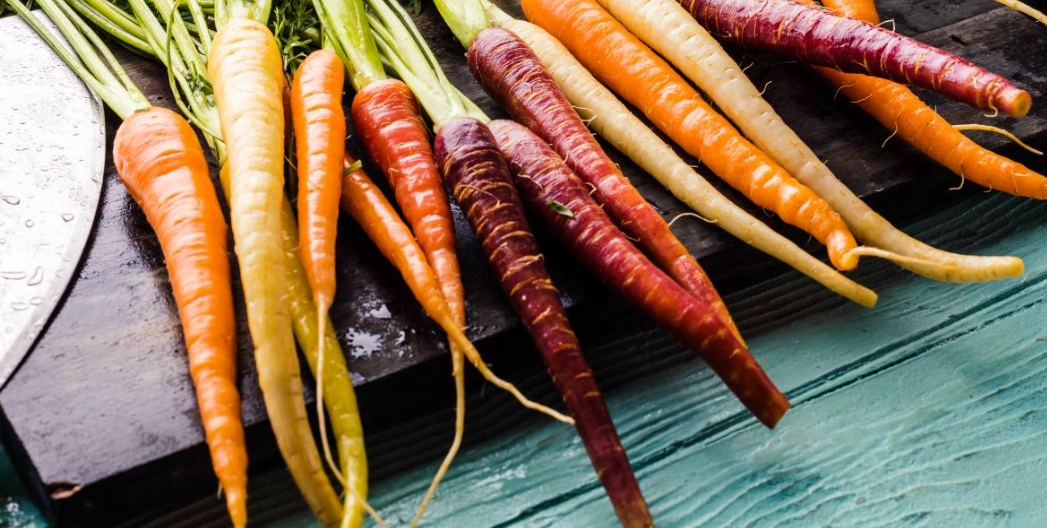 紅蘿蔔大便顏色 紅蘿蔔大便顏色