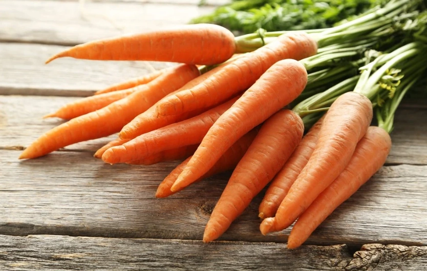 植物蛋白質來源 植物蛋白質來源