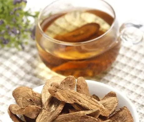 牛蒡茶每日飲用