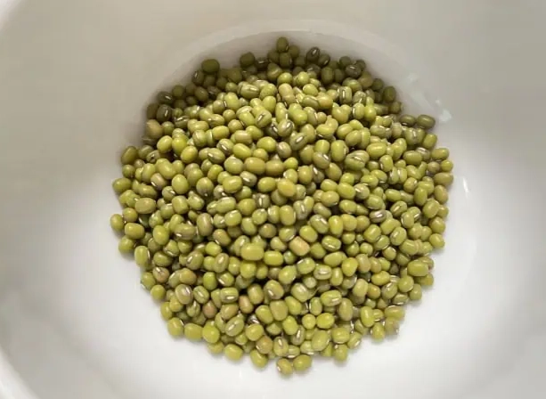 三酸甘油脂飲食