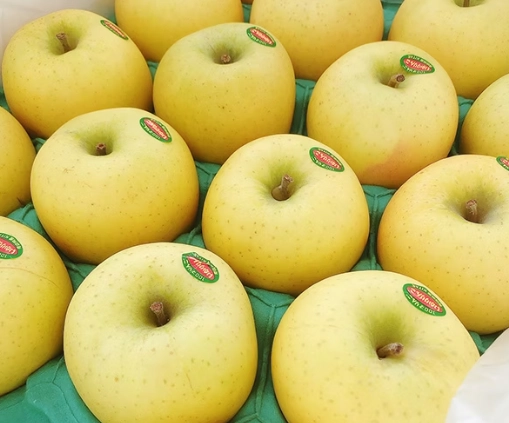 青蘋果品種比較