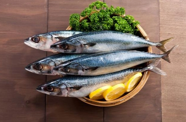 腎臟病吃魚禁忌