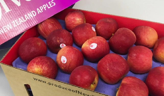 每天吃蒸蘋果 每天吃蒸蘋果