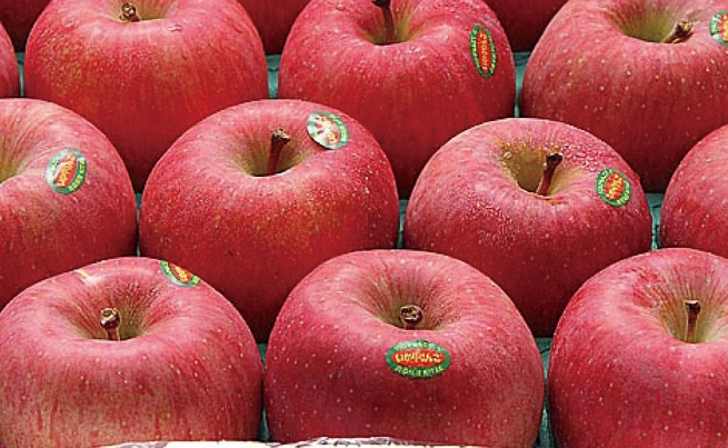 青蘋果品種比較