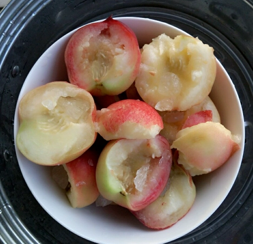 蒸桃子好處 蒸桃子好處