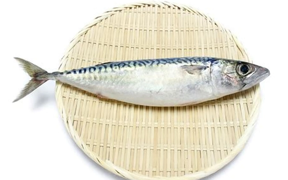 腎臟病吃魚禁忌