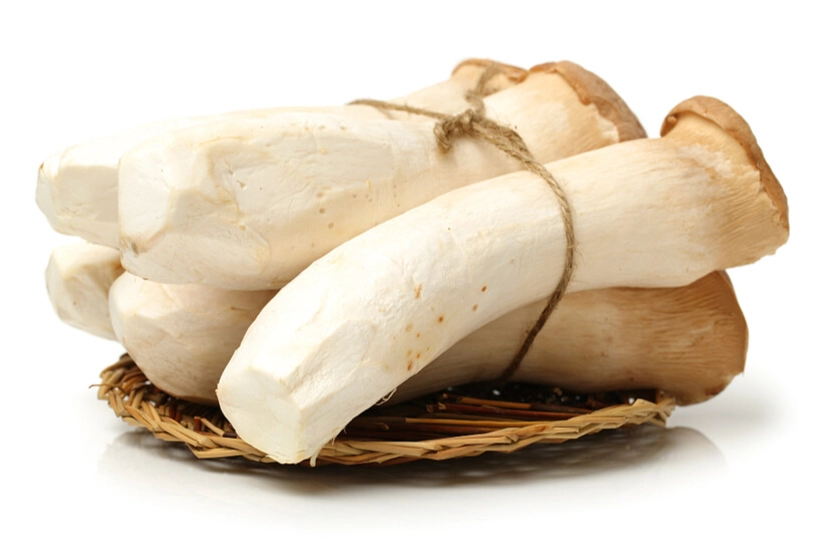 杏鮑菇最好吃的做法：5種家常料理秘訣大公開，輕鬆做出餐廳級美味