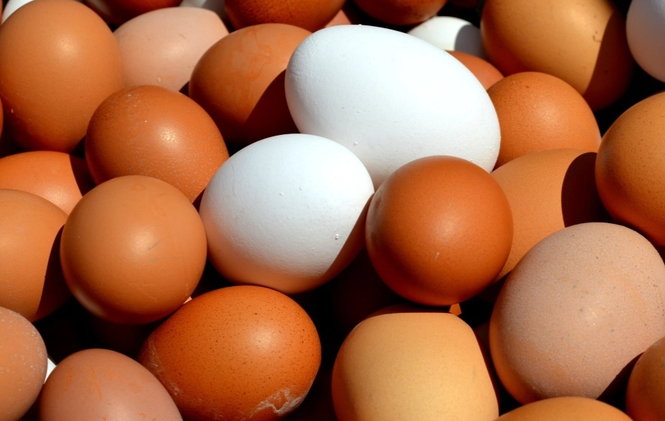 胃食道逆流 飲食