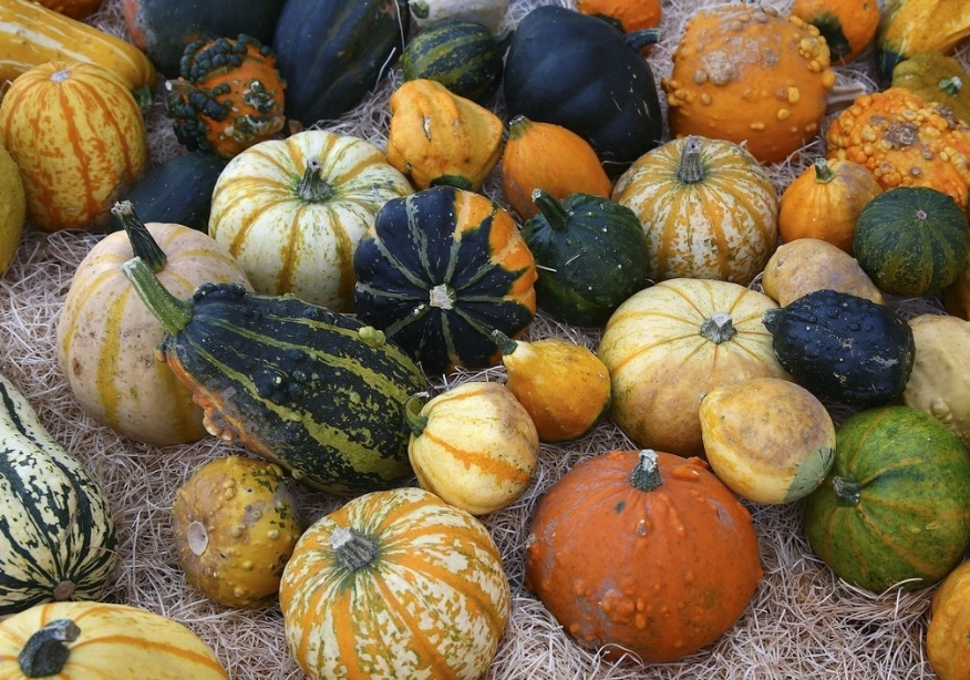 胃黏膜修復飲食