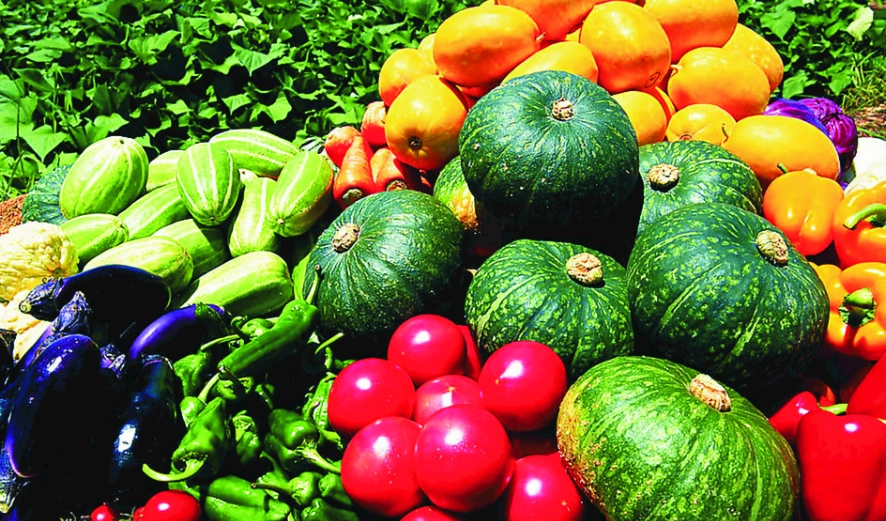 葉菜類蔬菜保存方法