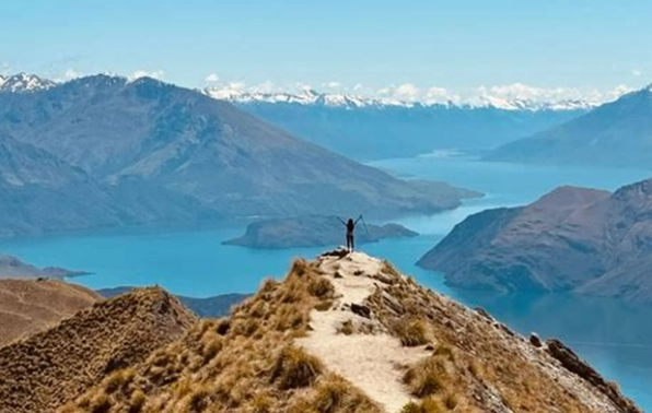 紐西蘭無車旅遊