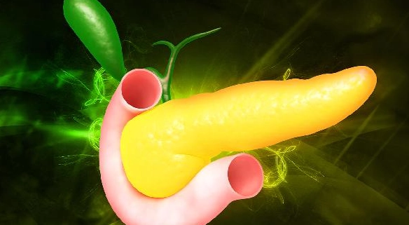 胰臟炎飲食指南