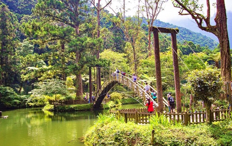 溪頭一日遊攻略