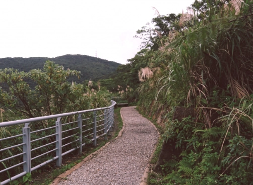 台北親山步道推薦