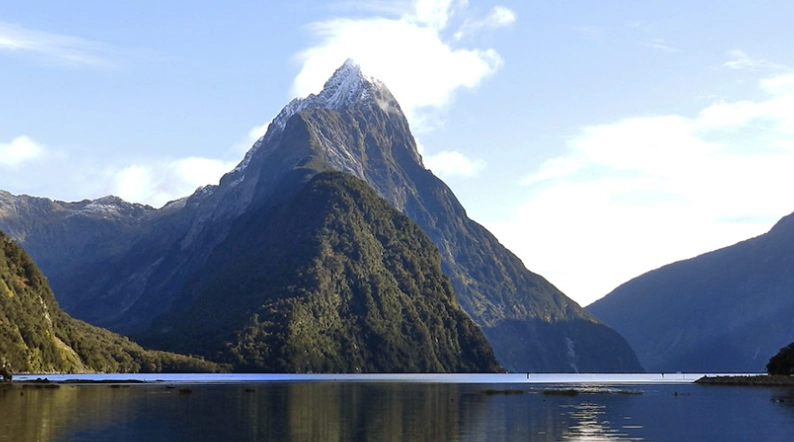 紐西蘭入境卡填写