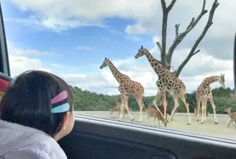 九州自駕遊景點