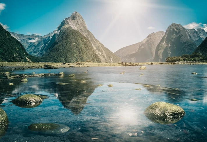 紐西蘭入境卡填写