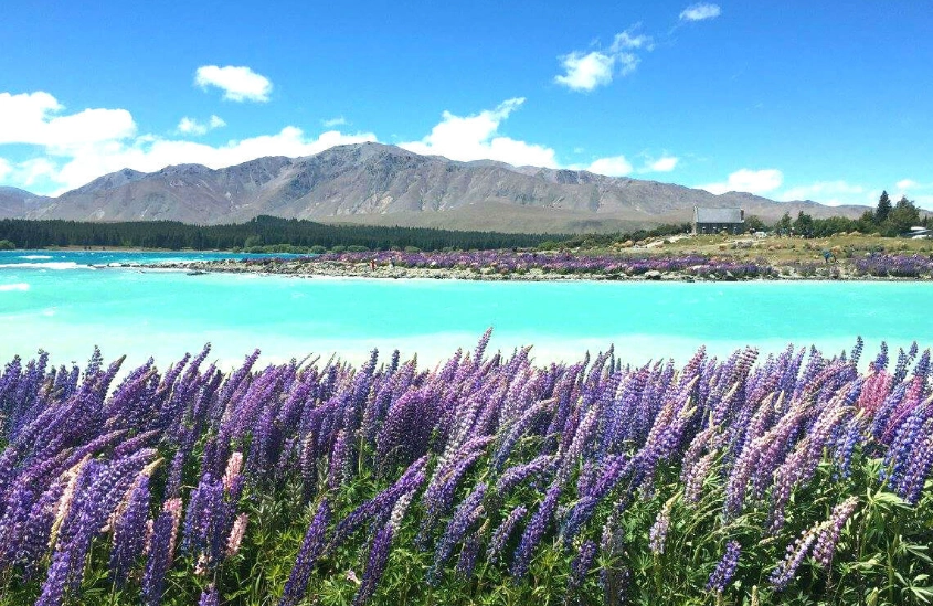 紐西蘭旅遊時間