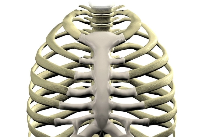 肋骨骨折飲食禁忌