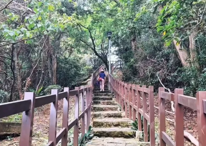 碧湖公園登山步道