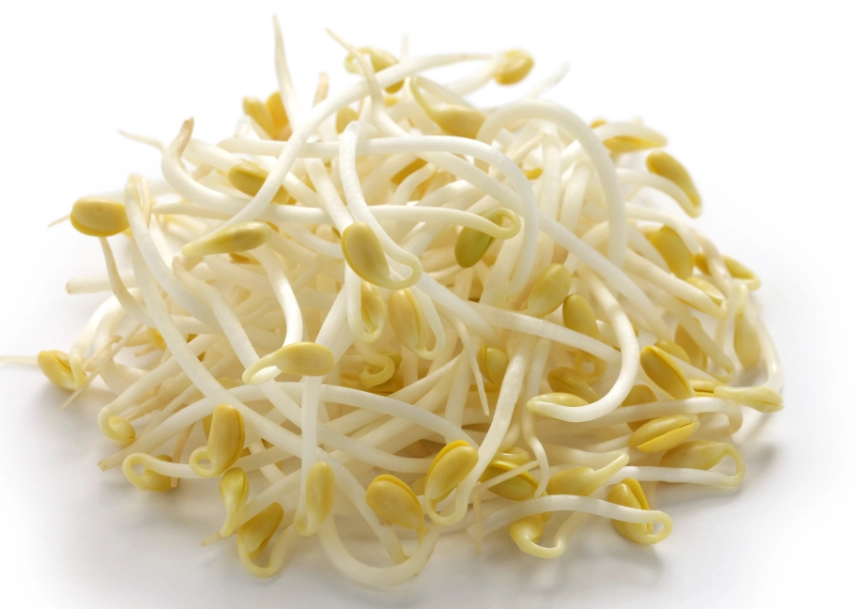 如何生吃苜蓿芽