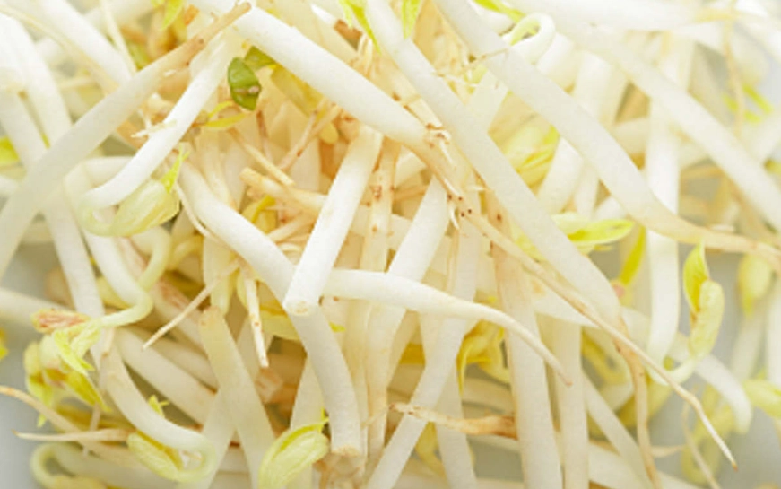 苜蓿芽生吃好處